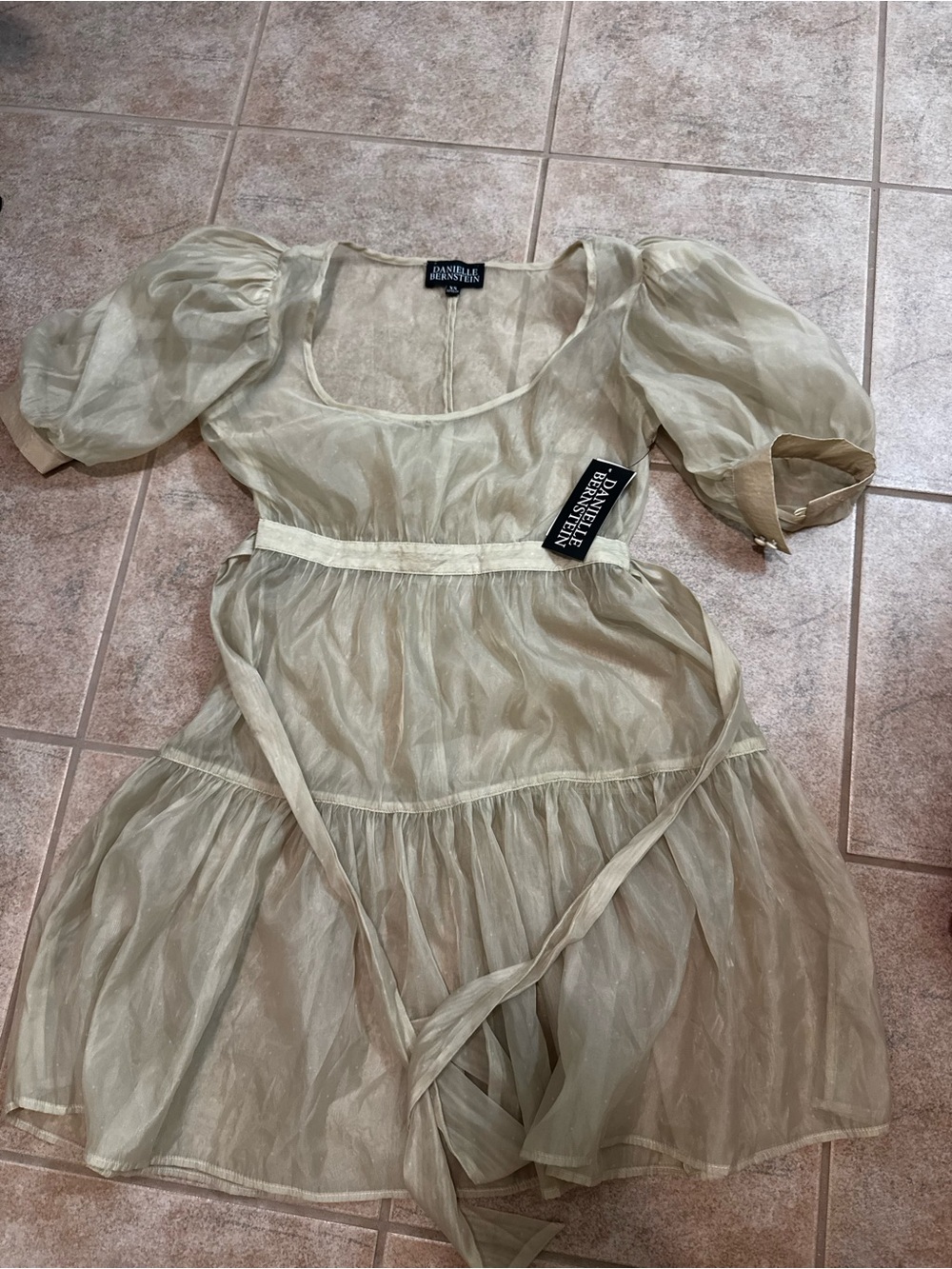 DANIELLE BERNSTEIN Champagne Sheer Puff-Sleeve Mini Dress